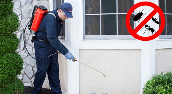 Beydağ Kemirgen İlaçlama böcek ilaçlama ve haşere kontrolü — ilaclama-tr.com